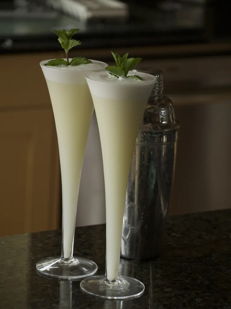 Gin Fizz