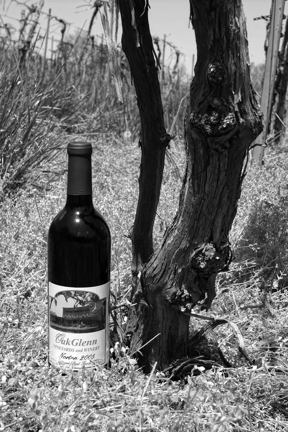 American wine