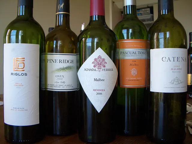 Argentine wine