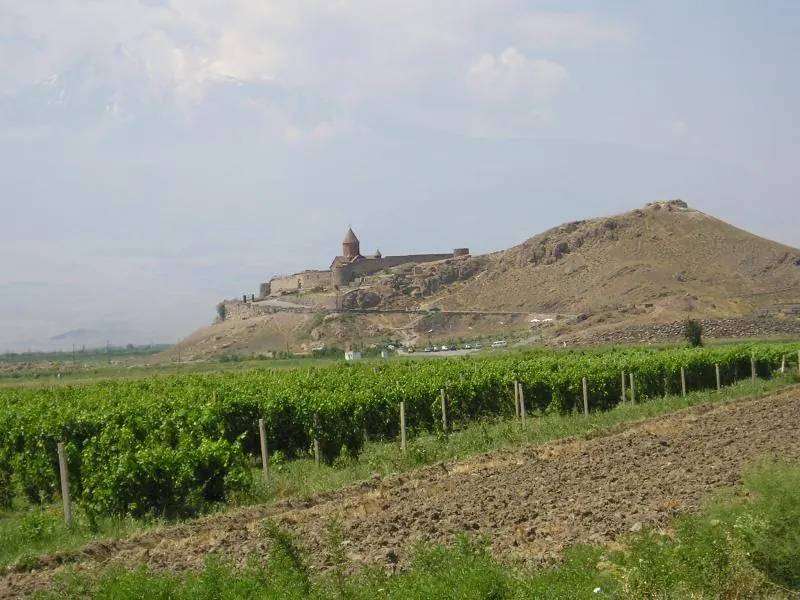 Armenian wine