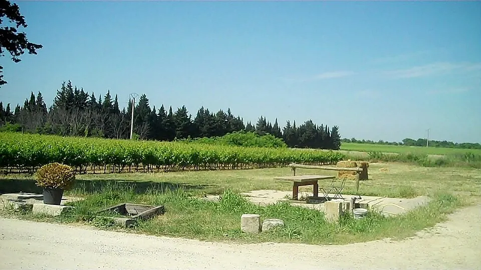 Costières de Nîmes AOC