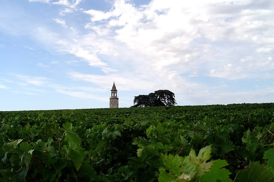 Haut-Médoc AOC