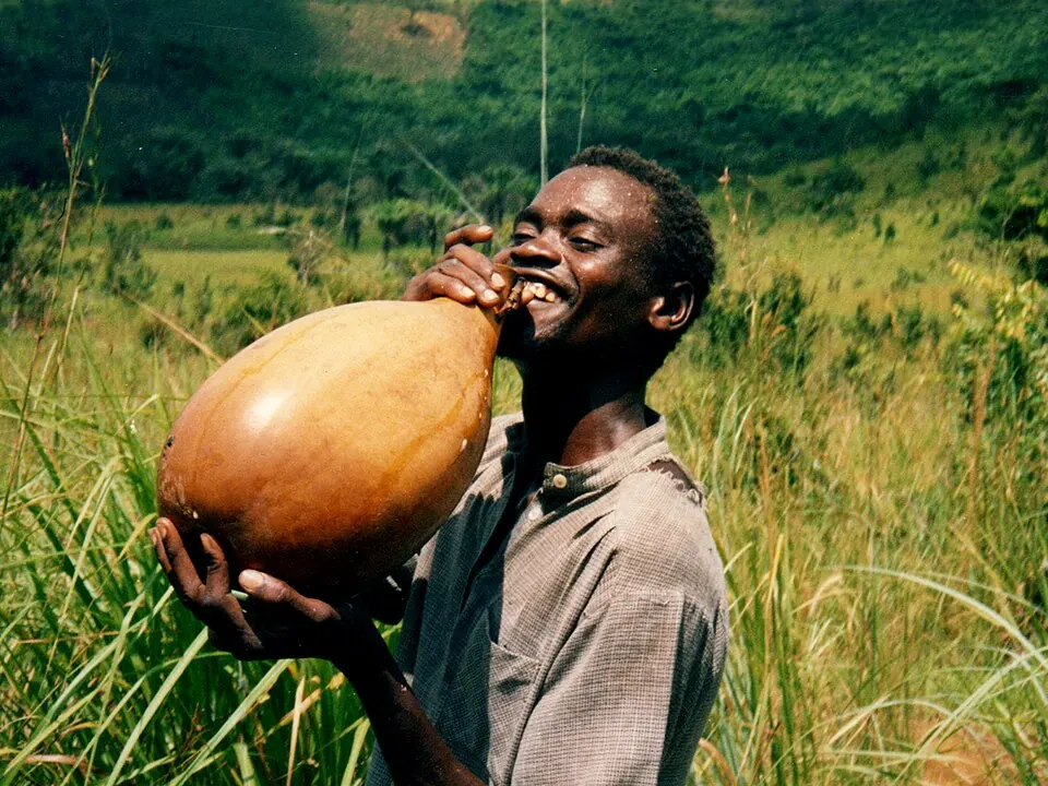 Palm wine