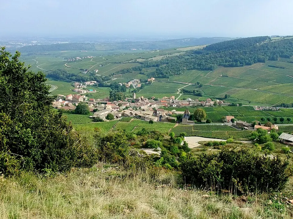 Pouilly-Fuissé