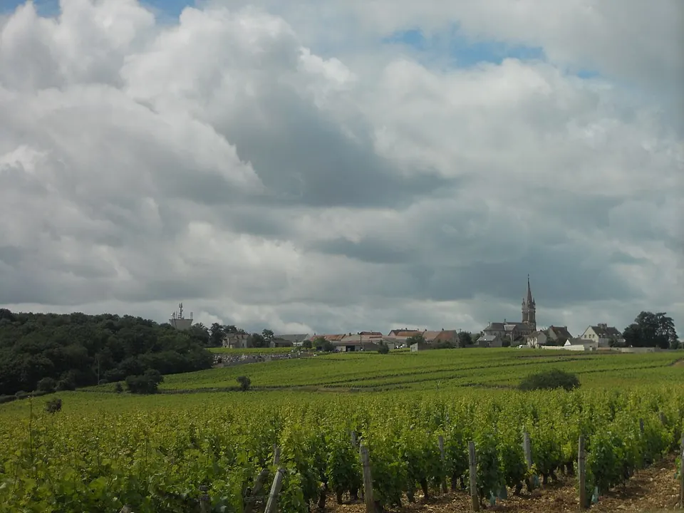 Pouilly-Fumé