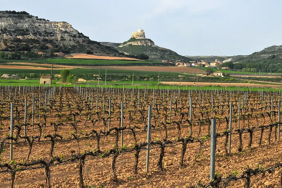 Ribera del Duero