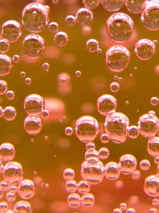 Sparkling wine